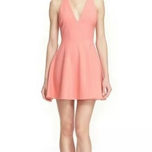 Elizabeth and James Size 8 Lalita Flare Dress